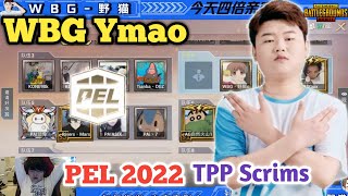 WBG Ymao(Wildcat) is Insane at TPP😱 • PEL 2022 S1 TPP Scrims