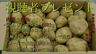 視聴者プレゼントクイズ企画 【訳ありじゃがいも10kgプレゼント】【コメント返信先着2名】