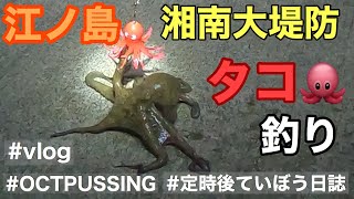 【VLOG】江の島でタコ釣りたい【Eng Sub】Fishing Diary