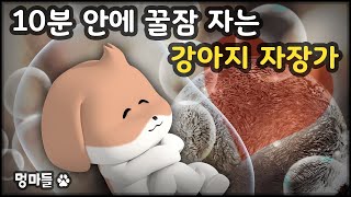 10분 안에 꿀잠 자는 강아지 휴식 영상, #멍마들, 자연의 새소리와 물소리 - Video of a puppy sleeping in 10 minutes