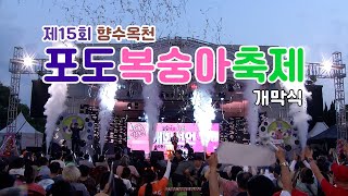 제15회 향수옥천 포도복숭아축제-개막식