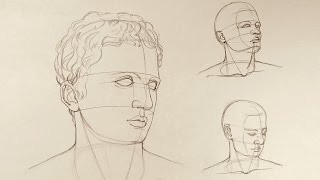 Proportions of the Head - Anatomy Master Class