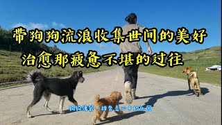 带着狗狗一路流浪收集世间的美好，相信能治愈那疲惫不堪的过往  #樂浪星 #流浪生活 #流浪 #狗狗 #騎行 #dog rescue #rescue dogs