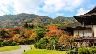 大河内山荘庭園 嵐山 京都 / Okouchi Sansou Teien Garden