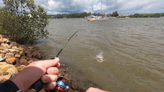 Brisbane river fishing - Massive tide and a few bream on lures