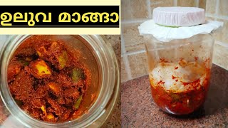 അമ്മയുടെ സ്പെഷ്യൽ ഉലുവാ മാങ്ങ അച്ചാർ|ULUVA MANGA|Traditional Uluva Manga achar|Variety Mango pickle