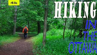 《 4k》10条渥太华及周边地区最佳徒步线路推荐|Jack Pine, Beaver, and Chipmunk Loop Trail