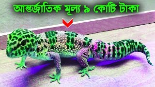 ১ টা পেলেই কোটিপতি! বিশ্বের সবচেয়ে দামী প্রাণী! 🦄 7 Animals That Can Make You A Millionaire 🤑