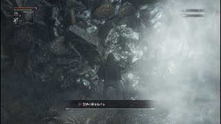 ［Bloodborne］ヤーナムの影硬直バグ　簡単