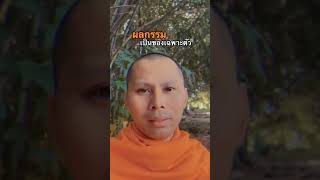 ผลกรรม มันเป็นของเฉพาะตัว ทำอย่างไร ย่อมได้รับผลอย่างนั้น #ธรรมะเป็นที่พึ่ง #นาถธมฺโม #pjedsadachai