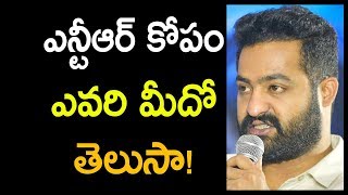 ఎన్టీఆర్ కోపం ఎవరి మీదో తెలుసా! | Why JR NTR is Angry On Them? | Jai Lava Kusa | Telugu Stars