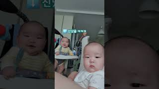 #아기 #twins #baby #쌍둥이 #아기쇼츠 #双子 #육아일기 D+210 신났음 ㅋㅋㅋ