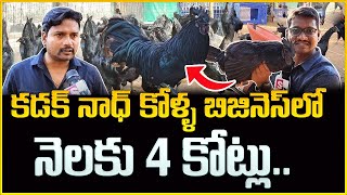 Kadaknath Poultry Farming 2024 || High Profit Business Idea || Money Management || Money Wallet