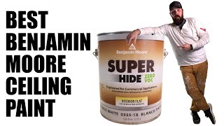 Benjamin Moore Super Hide | Pro Painter Review