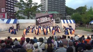 粋　決勝演舞　 黒崎よさこい祭り2016