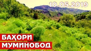 Тоҷикистон: Табиати зебои Муминобод / Tajikistan Muminobod 2019