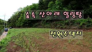 NO.308 영천부동산 숲속 산아래 나홀로 땅 전원주택지 주말농장지