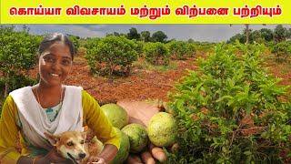 கொய்யா சாகுபடி மற்றும் அதன் விற்பனை பற்றியும் | Q \u0026 A | இயற்கை விவசாயம்