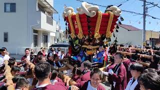 ‎【HD高画質】令和4年 百舌鳥八幡宮月見祭  土師町 2 子供太鼓連合 ふとん太鼓 2022年‎9月‎11日