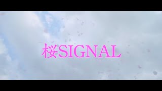 【MV】2023.2nd.MV『 桜SIGNAL 』