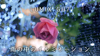 【雨のイルミネーション】VLOG家族サービスと検証【LUMIX GH7】1146日