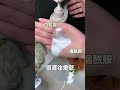 腌出伪体香的沐浴露！89那么大一瓶？ 方脸 伪体香 plantvoice 沐浴露