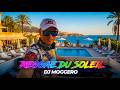 Reggae Du Soleil ☀️🌴 | DJ Moggero | French Summer Reggae Escape Super Hit 2026