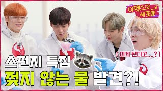 [THE EPEX] 이펙스의 세포들 Ep.5 이펙스의 스펀지 1 🧪 (ENG SUB)