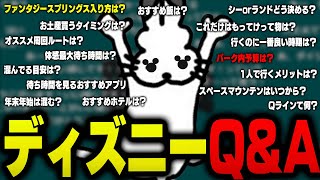 視聴者からの「ディズニーランドQ＆A」に全部答えるドコムス達【不完全版/ドコムス雑談切り抜き】