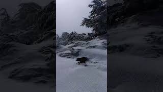 ثلوج في مرتفعات جبال البابور بين السطيف وبرج بوعريريج، neige sur les hauteurs de babour entre setif