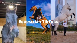 Equestrian TikToks