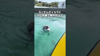 【チェック✅】大分来たらまずはココ❗️外せない観光スポット