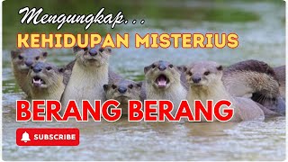 Menyingkap Keajaiban Hewan Berang Berang