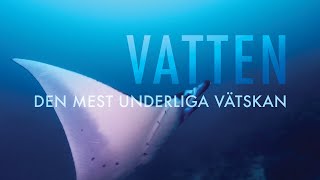 Vatten – den mest underliga vätskan Trailer (ETS5198)