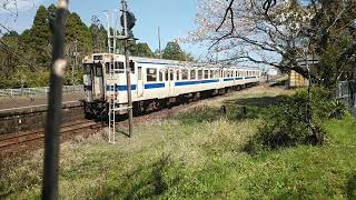 JR九州の吉都線沿線の宮崎県高原町の高原駅で桜と列車のコラボレーションの動画を撮りました。愛称えびの高原線と呼ばれています