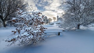 Зимняя сказка / Завораживающие зимние пейзажи ❄️