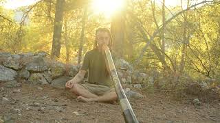 Aliwen Neira - In the woods | Didgeridoo session