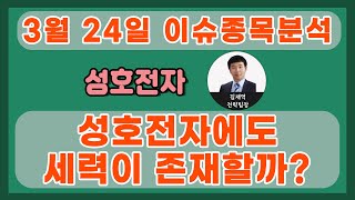 성호전자(043260)-성호전자에도 세력이 존재할까?