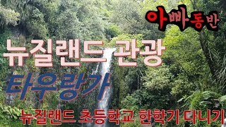 [아빠동반] 영어권 뉴질랜드에서 초등학교 다니기! 주말을 맞아 타우랑가 여행왔어요~!