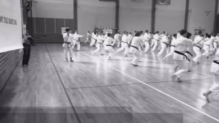 JKA Gasshuku Czech Republic 2017 - Prachatice