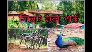 Sylhet Tilagor Eco Park | সিলেট টিলাগড়  ইকো পার্ক