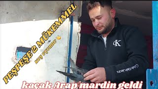 Kümes ziyareti/uçum videolari/Kemal kardeşimizin efsane kuşları/taklacı güvercin oyunkuşu