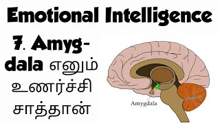 7. Amygdala எனும் உணர்ச்சிச் சாத்தான் | Emotional intelligence by Soma Valliappan Tamil Audiobook