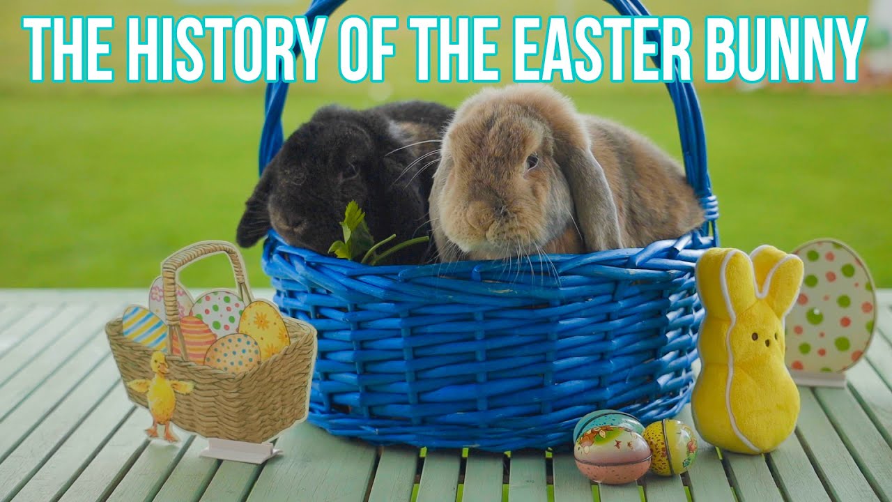 The History Of The Easter Bunny - YouTube