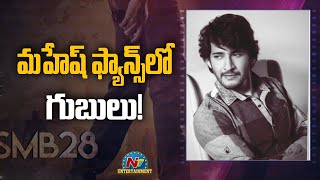 మహేష్ ఫ్యాన్స్ లో గుబులు | Mahesh Babu | Box Office | NTV ENT