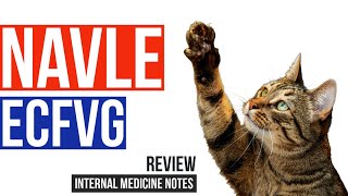 NAVLE Review -  Toxoplasmosis