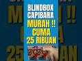 Blindbox Capibara MURAH!! Cuma 25 ribuan #blindbox #unboxing #mainan #indonesia #mainanmurah #toys