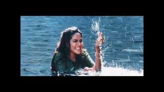 Chinna Chinna Asai   Hindi Song   Roja Movie by Kiramathu Kuyil