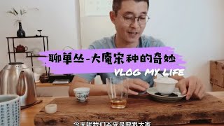 凤凰单丛中奇妙的存在-大庵宋种，与鸭屎香还是不一样的