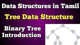 #16 Binary tree Data Structure in Tamil | Trees in java | Tree in tamil | conquer victory